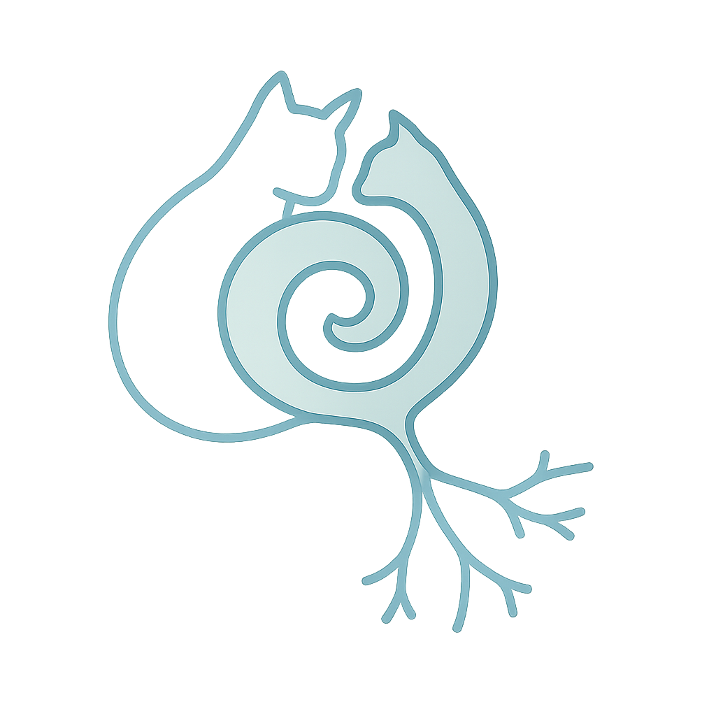 Shared Brain Cell | Anamika Agrawal